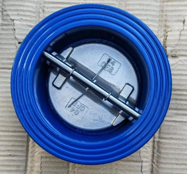 Iarann ​​Insínte Dúbailte-Wisleán Diosca-Cineál Comhla Seiceála