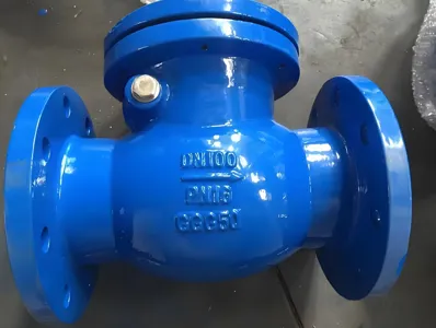 Comhla Seiceála Swing Iarainn Insínte PN10