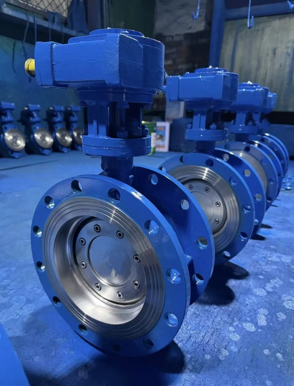 Comhla Féileacán Insínte Iarainn Cineál U